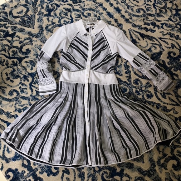 Zac Posen Organdy Stripe Black White Dress $1290! - Picture 3 of 14